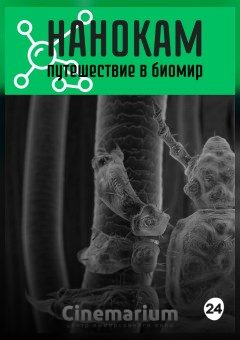Афиша мероприятия Нанокам. Путешествие в биомир