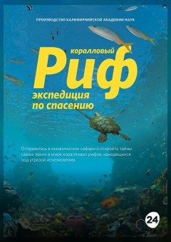Афиша мероприятия Коралловый риф. Экспедиция по спасению