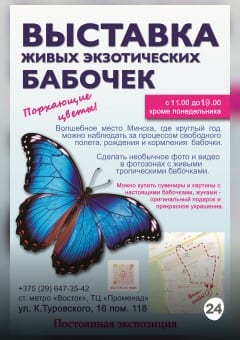 Афиша мероприятия Выставка бабочек "Порхающие цветы"